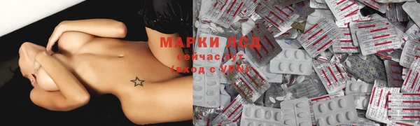 шишки Пестово