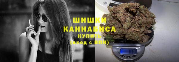 шишки Пестово