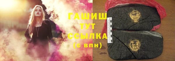 шишки Пестово