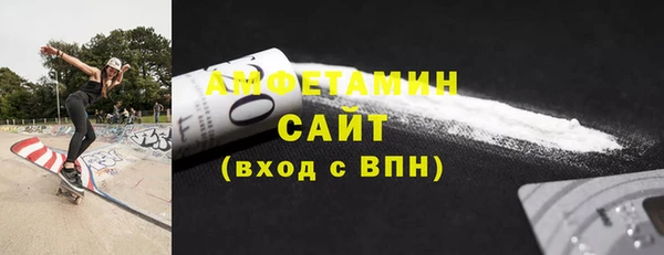 шишки Пестово