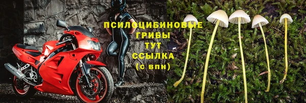 шишки Пестово