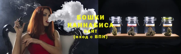 винт Осташков