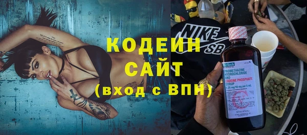 шишки Пестово