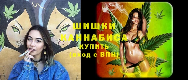 шишки Пестово