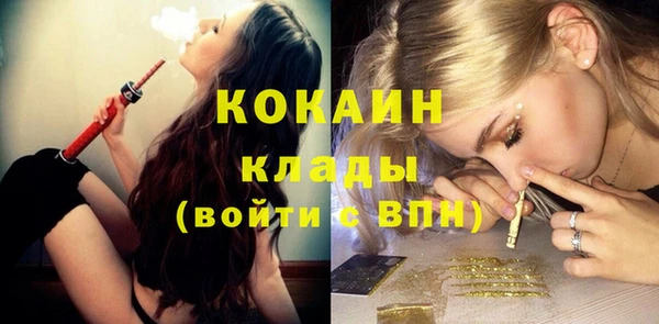 шишки Пестово