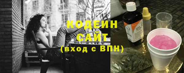 шишки Пестово