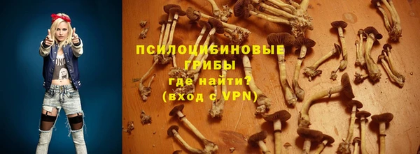 шишки Пестово