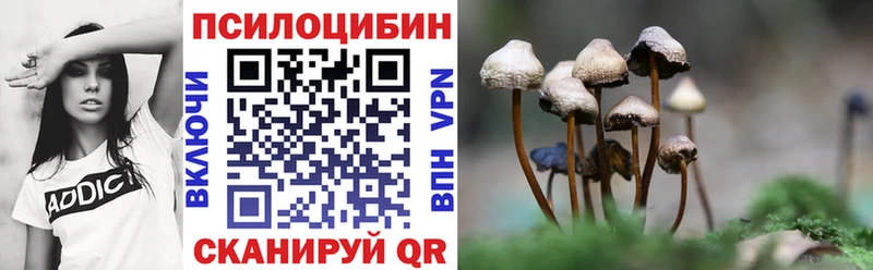 Галлюциногенные грибы MAGIC MUSHROOMS Торжок