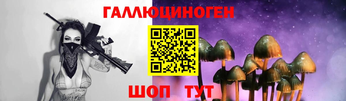 Галлюциногенные грибы GOLDEN TEACHER  Вход с VPN  закладки  Торжок 