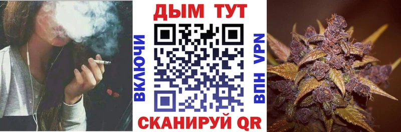 мориарти состав хочу мега ТОР Торжок Марихуана OG Kush
